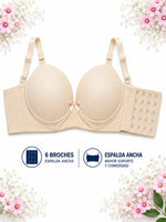 Brasier Ailin B15124