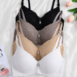 Brasier Cocora-A24.2770WBB