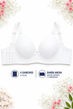 Brasier brenda 8524 copa C