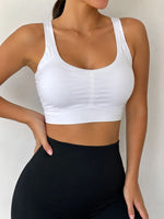 Top dama- BX64D